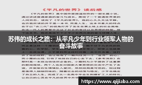 苏伟的成长之路：从平凡少年到行业领军人物的奋斗故事