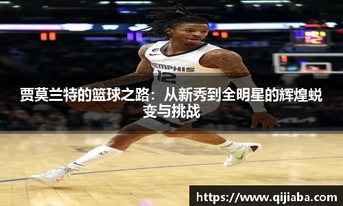 星空·综合体育官方网站